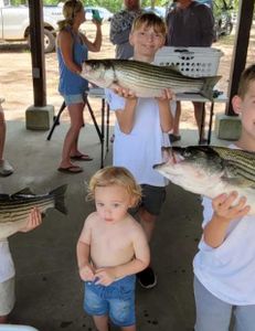 Two striped bass caught by two people in Lexington