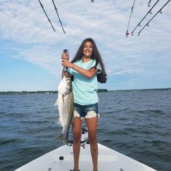 Striped bass caught in Lexington