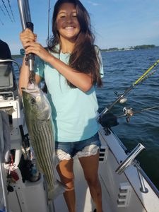 Striped bass caught in Lexington