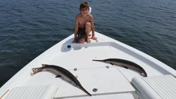Two longnose gar fish caught in Lexington