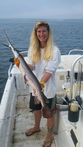 Longnose Gar, a 33-inch fish caught while fishing in Lexington