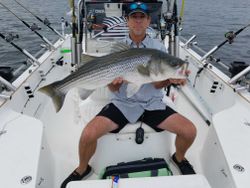 Striped bass caught fishing in SC