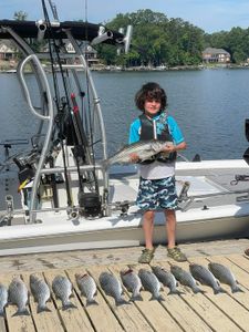 2 striped bass caught while fishing in SC