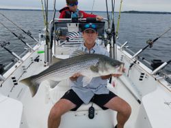 Striped bass caught while fishing in SC