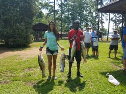 4 large striped bass caught while fishing in SC