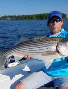 Striped bass caught in SC while fishing