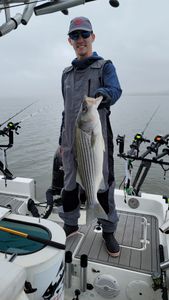 Striped bass caught by two anglers fishing in SC
