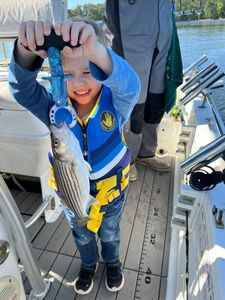 Striped bass fishing in SC