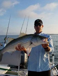 Striped Bass, 28 inch fish caught while fishing in Lexington