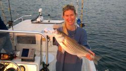 Striped bass caught in Lexington