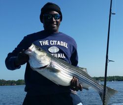 A striped bass measuring 24 inches caught in Lexington