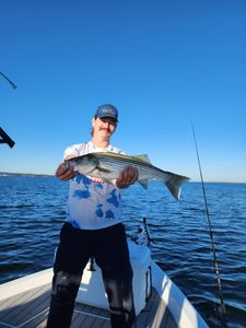 Striped Bass caught in Lexington