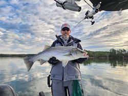 Striped bass caught in Lexington