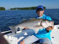 Striped bass caught in Lexington