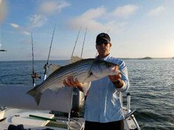 Striped bass caught in Lexington