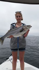 Striped bass caught by angler in Lexington