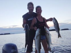 Three striped bass caught in Lexington