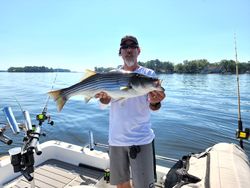 Striped bass caught in Lexington