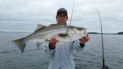 Striped bass caught in Lexington, great fishing adventure