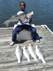 Five striped bass caught in South Carolina