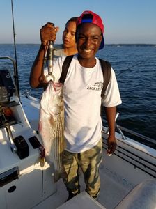 Striped Bass caught in SC while fishing