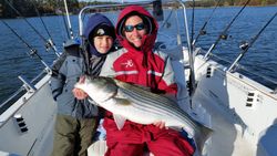 Striped bass fishing in SC