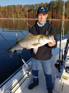 White bass caught in SC while fishing