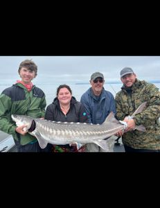 Big sturgeon—solid and exciting!