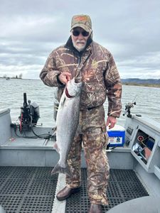 Columbia River: Salmon Serenity