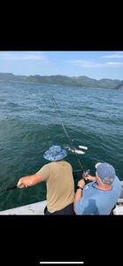 Chase Salmon, Columbia River Edition