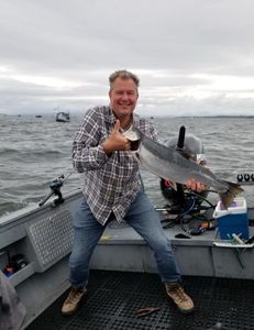 Fish-Species