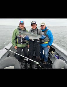 Fresh Coho—clean and solid!