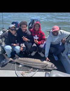 Massive sturgeon—wild and unforgettable!