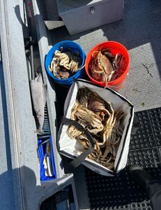 Crabbing great September-January!