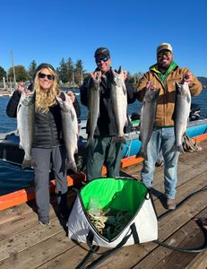 6 coho salmon, chum salmon, and coho salmon caught in OR