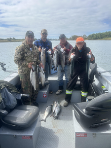 Reeling in the rainbow and chinook combo under partly cloudy skies!