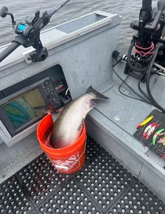 Best great fishing in Oregon with 2 anglers