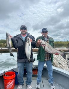 Three Pollock fish caught while fishing in OR