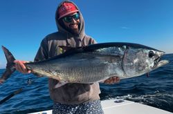 Fishing for Atlantic Bonito in RI