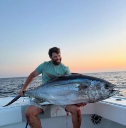 Blackfin tuna caught while fishing in Jamestown