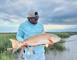 Redfish caught while fishing in Jamestown