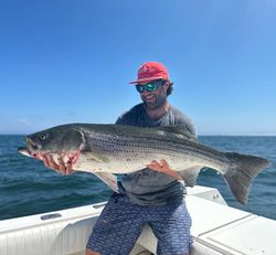 A striped bass caught while fishing in Rhode Island