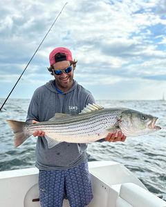 A fisherman holding a striped bass in Jamestown