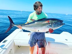 Yellowfin tuna caught in Jamestown