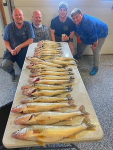 Fish-Species
