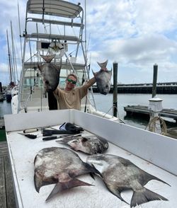 Angler with fishing rod in VA enjoying cruises and fishing