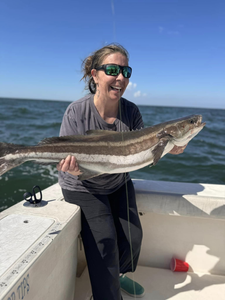 A single cobia fish caught in VA