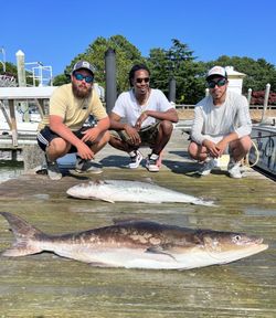 Three people enjoying a fishing cruise in Norfolk