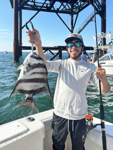Sheepshead fish caught in VA