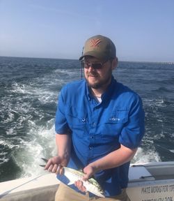 Spanish mackerel caught during fishing trip in Norfolk VA waters